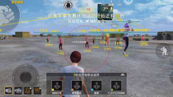 和平精英《圣女果》直装外挂全网首发上市