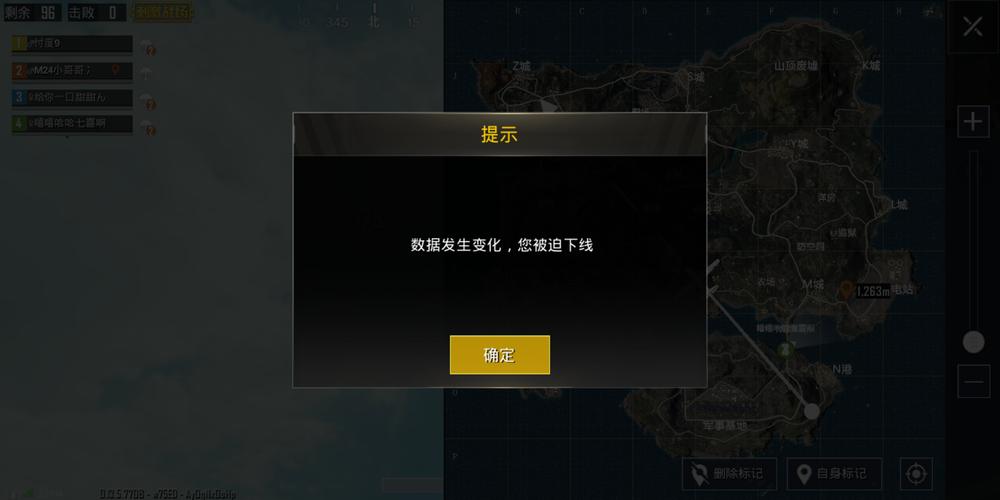 和平精英辅助【DODO】